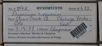 Image Associated With the Occurence